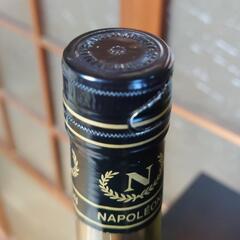 ブランデー バロンドシャイナル ナポレオン BARON DE CHAINAL  NAPOLEONの画像