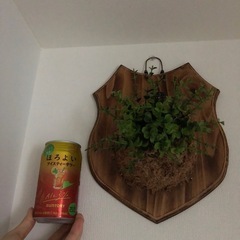 
造花 オシャレ部屋にの画像