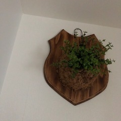 
造花 オシャレ部屋にの画像