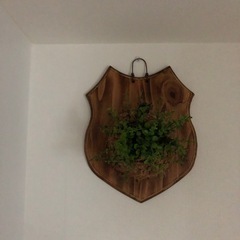 
造花 オシャレ部屋にの画像