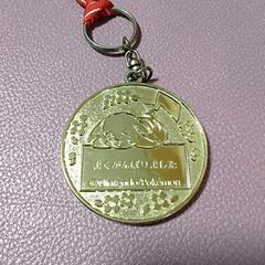 ピカチュウ 金メダル 鋼鉄製の画像