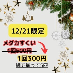 12/21(土)コジマ×ビックカメラさくら店 セキレイマルシェ - さくら市