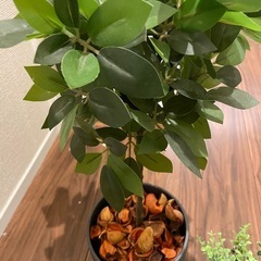 造花　インテリア　植物