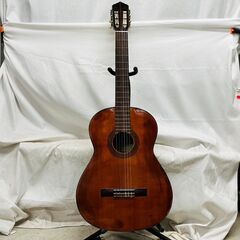 【❗️✨中古美品✨❗️】Shinano クラシックギター No....