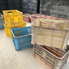 収穫コンテナまとめて