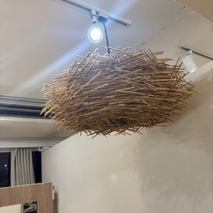 照明