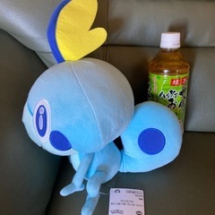 ポケモン　 ぬいぐるみ3点の画像