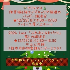🎄クリスマス🪅ほご猫譲渡会❤️障害猫🐈‍⬛&猫エイズキャリア猫🐈も参加します❣️ - イベント