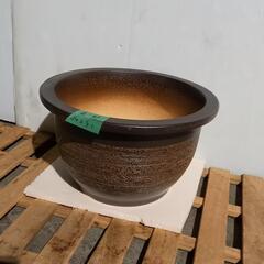 ☆美品　信楽焼 窯肌櫛目輪型 13号 大型植木鉢☆