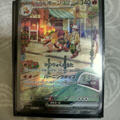 ラウドボーンsar