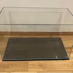 ADA60cm水槽 60×30×36