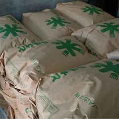 R6 栃木県産コシヒカリ 玄米30Kg