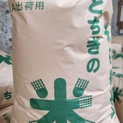 R6 栃木県産コシヒカリ 玄米30Kg