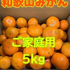 ☆和歌山みかん☆サイズ混合☆訳あり5kg②