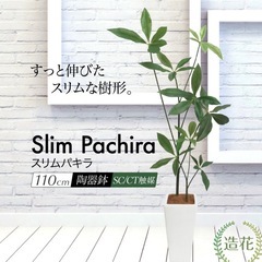 フェイクグリーン　パキラ