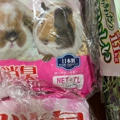 うさぎ飼育用品まとめ　の画像