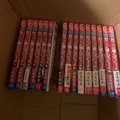 カノジョは嘘を愛しすぎてる全巻