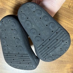 アティパス　12.5の画像