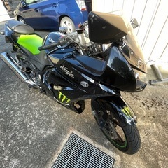 Kawasaki ninja250r