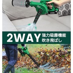 【新品未使用】ブロワー 洗車 強力 ブロアー 充電式 延長チューブ付き 2.0Ahバッテリ一2個搭載 コードレスブロワー 風量調整可能の画像