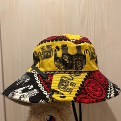 タイのバケハ