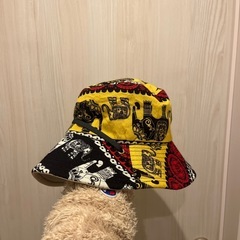 タイのバケハの画像