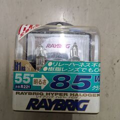 H1RS レイブリック