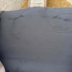 イングリッシーナ　ファスト　クリーム色の画像