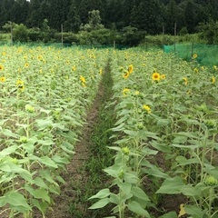  農業を創る人に会いたい👨‍🌾