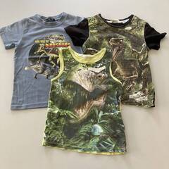  BlueMartブルーマート転写プリント恐竜Tシャツ ３枚セット