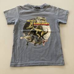  BlueMartブルーマート転写プリント恐竜Tシャツ ３枚セットの画像