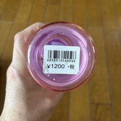 ラプンツェル　プラスチック水筒の画像