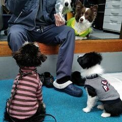 急募！アルバイト、社員　コロナで雇止めの方　生活を安定させたい方　ご応募下さい！の画像
