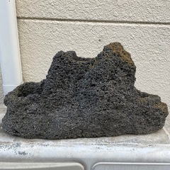 野草につかっていた　天然岩、鉢の画像