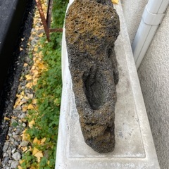 野草につかっていた　天然岩、鉢の画像