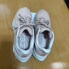 NIKE エアズームペガサス39 25cm（レディース）