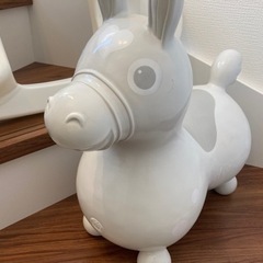 ロディの画像