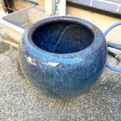 1000円　メダカ鉢　睡蓮鉢の画像