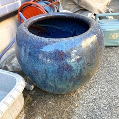 1000円　メダカ鉢　睡蓮鉢の画像