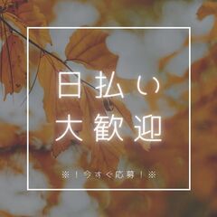 📣高時給でしっかり稼げる❗3t食品配送ドライバー💨月39万円可！交通費支給🚙日払いOK💸日額保証つき✨A11K0008-2(14)の画像