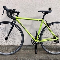 レユニオン　REUNION   ロードバイク サイズ　485mm  14速　東京　三鷹市　武蔵野市の画像