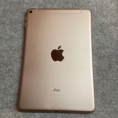 iPad mini（第5世代）Wi-Fi + Cellular 64GB ローズゴールドの画像