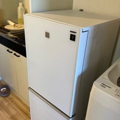 冷蔵庫、洗濯機