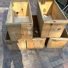 りんごの木箱　5箱中古品　