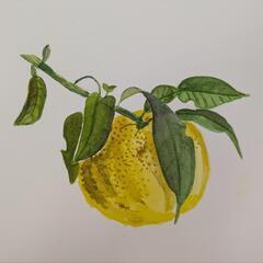 喫茶店などで一緒に絵を描いてくれる人募集