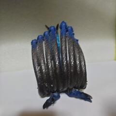 ミズノエノリュウ ウルトラマン 怪獣 ソフビの画像