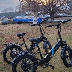 折りたたみ電動自転車1台(アメリカ製)