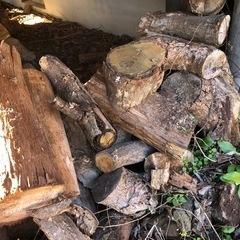 木材　薪にいかがですか？の画像