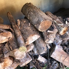 木材　薪にいかがですか？の画像