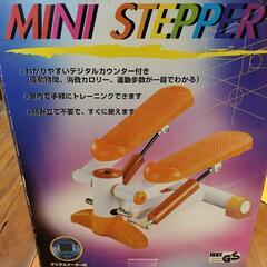 HEALTH＆BEAUTY　MINISTEPPER